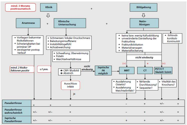 <p>verzögert: nach 3 bis 6 Monaten</p><p>Pseudarthrose: nach 3 bis zu 9 Monaten&nbsp;</p><ul><li><p>Knochenbruchheilung die nicht stattfindet</p></li></ul><p></p>