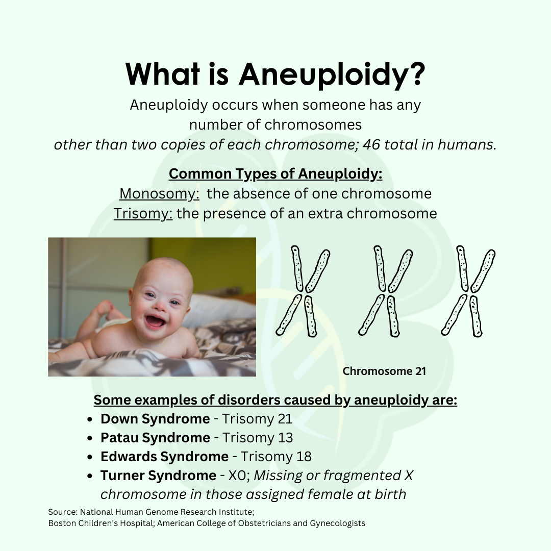 <p>2n +- x chromosomes…gain or loss of 1 or more chromosome but not a complete set…can be monosomy, disomy, trisomy, tetrasomy, pentasomy, etc.</p>