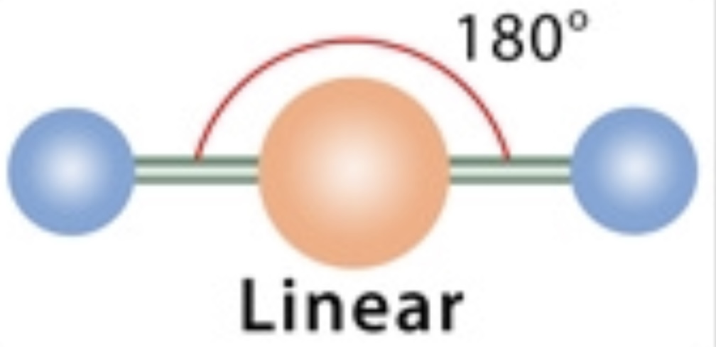 <p>Linear</p><p></p>