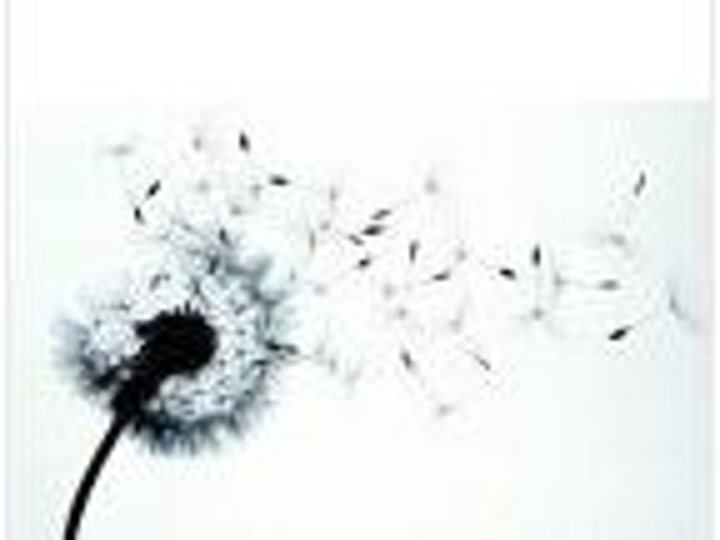 <p>cause to separate and go in different directions</p>