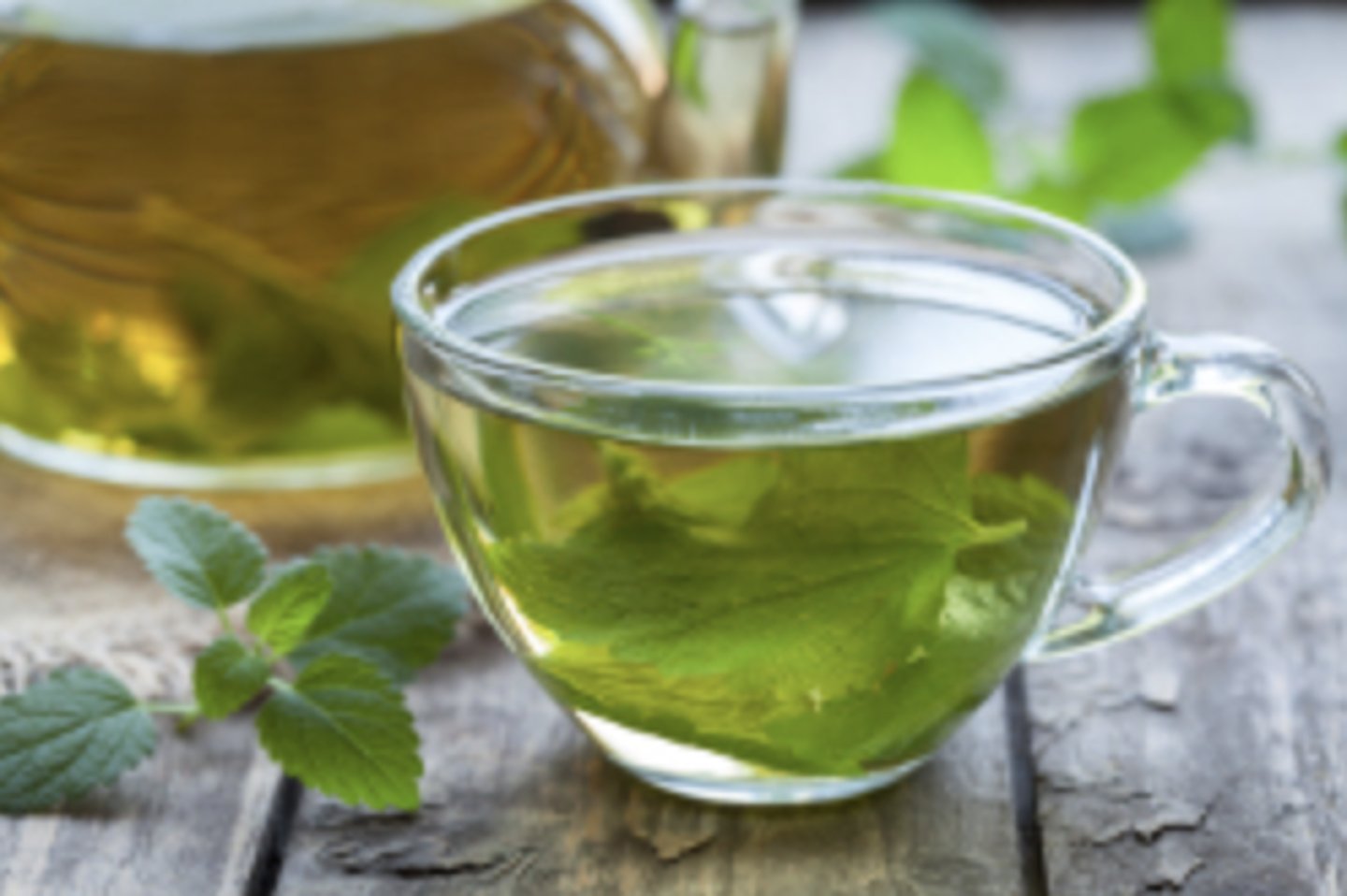 <p>una infusión o té</p>
