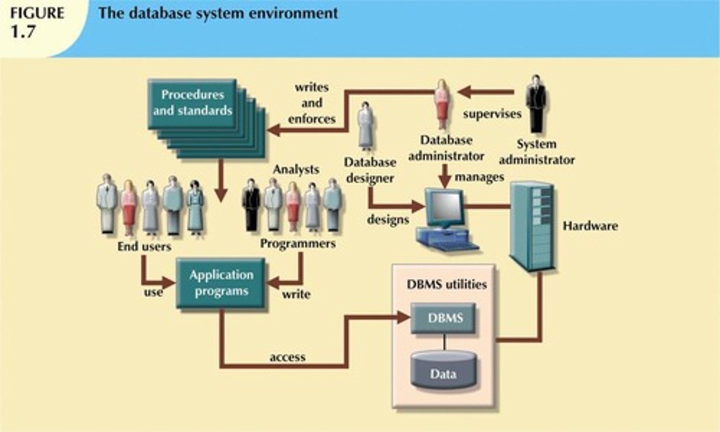 <p>Hardware, software, people, procedures, and data.</p>