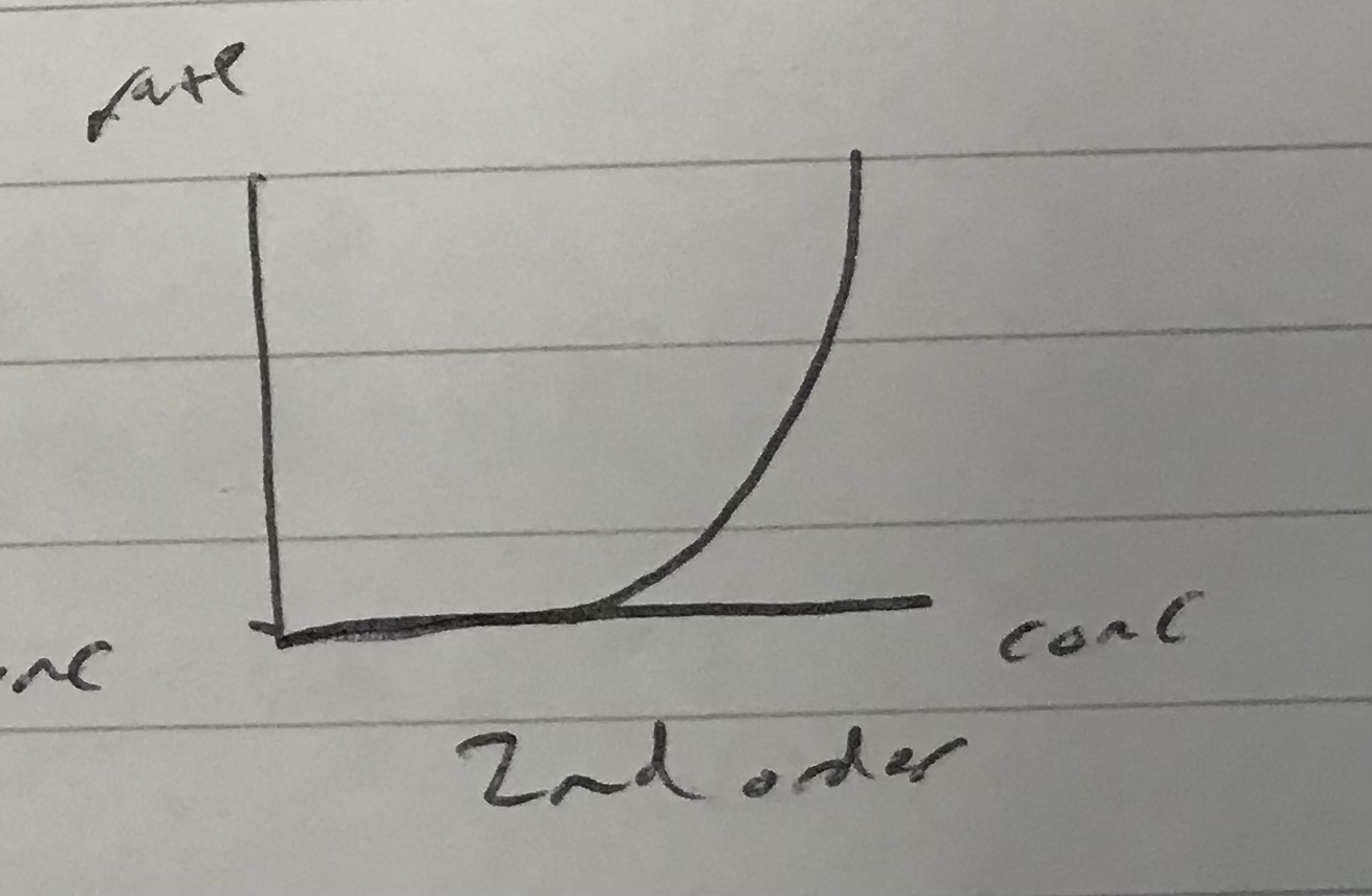 <p>Identify which order this rate graph represents</p>