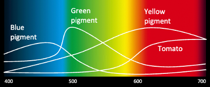 <p>Graphs that depict how much light of different wavelengths is reflected by a surface.</p>