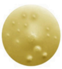 <ul><li><p>The film becomes <strong>locally <u>detached from the substrate</u></strong> forming a blister</p></li><li><p>Due to:</p><ul><li><p><strong>Air Entrapment Due to Overheating</strong> - too high temperature used during the coating process upon drying to make the coat stick to the coat tablet</p></li></ul></li></ul><p></p>