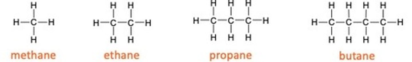 <p>•All the compounds fit the same general formula<br>•The chain length increases by one each time<br>•The chemical properties show a gradual change as the chain get longer (e.g boiling point increases with chain length)</p>