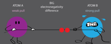 <p><span>the tendency for an atom to be attracted to electrons, or how much it pulls on electrons. Technically atoms are sharing but electrons are close to one atom.</span></p>