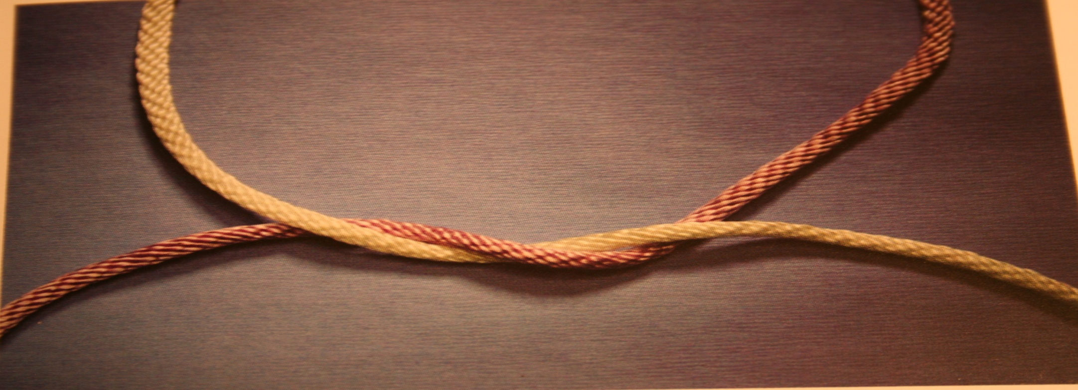 <p><span style="color: rgb(0, 0, 0)">One part of the rope is wrapped around another to make a part of a knot</span></p>