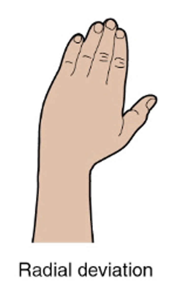 <ul><li><p>frontal plane, sagittal axis</p></li><li><p>Slide wrist towards radius, thumb</p></li><li><p> ROM: 0-20 degrees</p></li></ul><p></p>