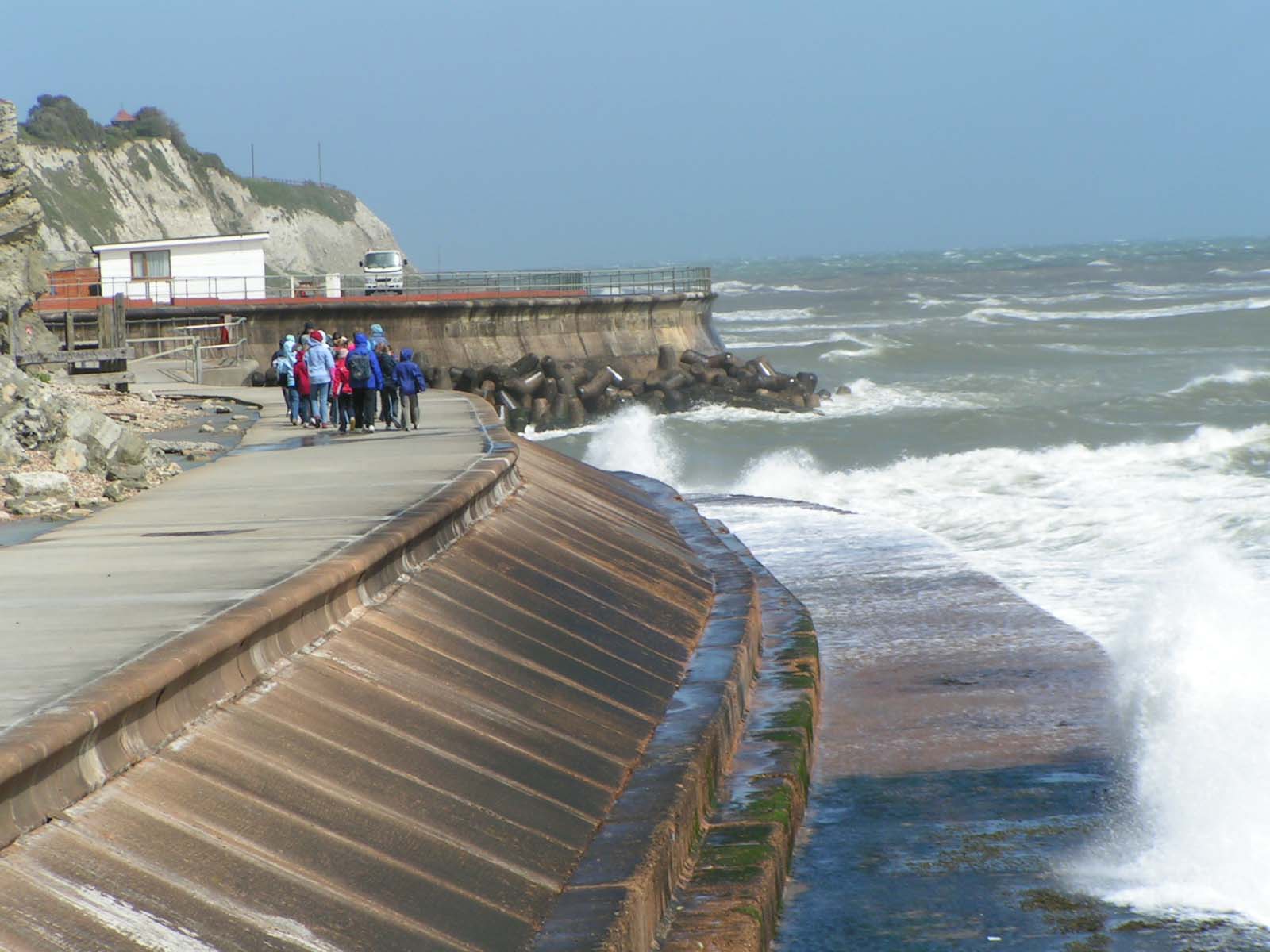 <p>Built to protect coastal cliffs and bluffs(the entire slope between a marine <span>terrace</span> or upland area and the sea) from eroding</p>