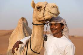 <p>camel</p>