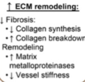 <p>Increased remodelling </p>