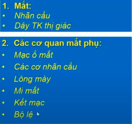 <p><span style="color: blue"><strong>Mắt </strong></span>gồm 2 thành phần nào ? </p>
