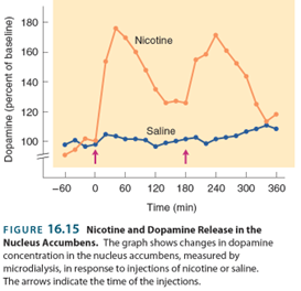 <p>From the physical aspects are strong</p><p class="MsoNormal">Debate about the psychological addiction</p><p class="MsoNormal">Harder to self administer coke than nicotine- rats</p><p class="MsoNormal">Humans- highly addictive 70% addicted to smokers , 30% who do heroine – relaps within a year</p><p class="MsoNormal">Easy to relaps</p>