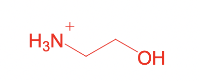 <p>What is this structure</p>