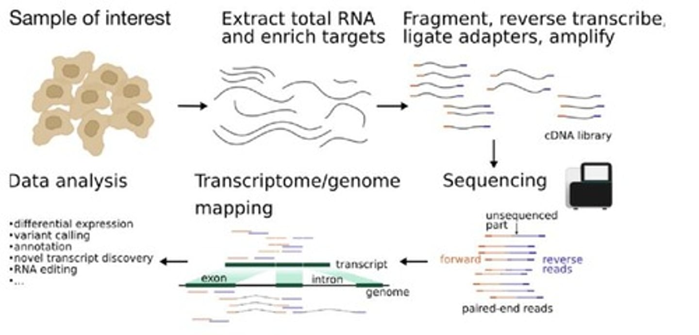 <p>Sequencing of cDNA derived from RNAs using next generation DNA sequencing methods.</p>