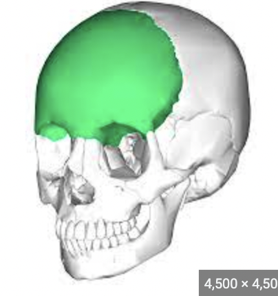 what is the green 