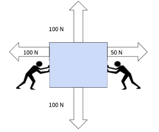<p>What is the net force in this image?</p>