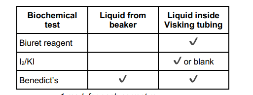 <p>A student set up the experiment shown in the diagram below.</p><p>The material from which Visking tubing is made is partially permeable. After 15 minutes, the student removed samples from the liquid in the beaker and from the liquid inside the Visking tubing. She carried out biochemical tests on these samples. She drew the table below to record her results.</p><p>Explain these results (3) </p>