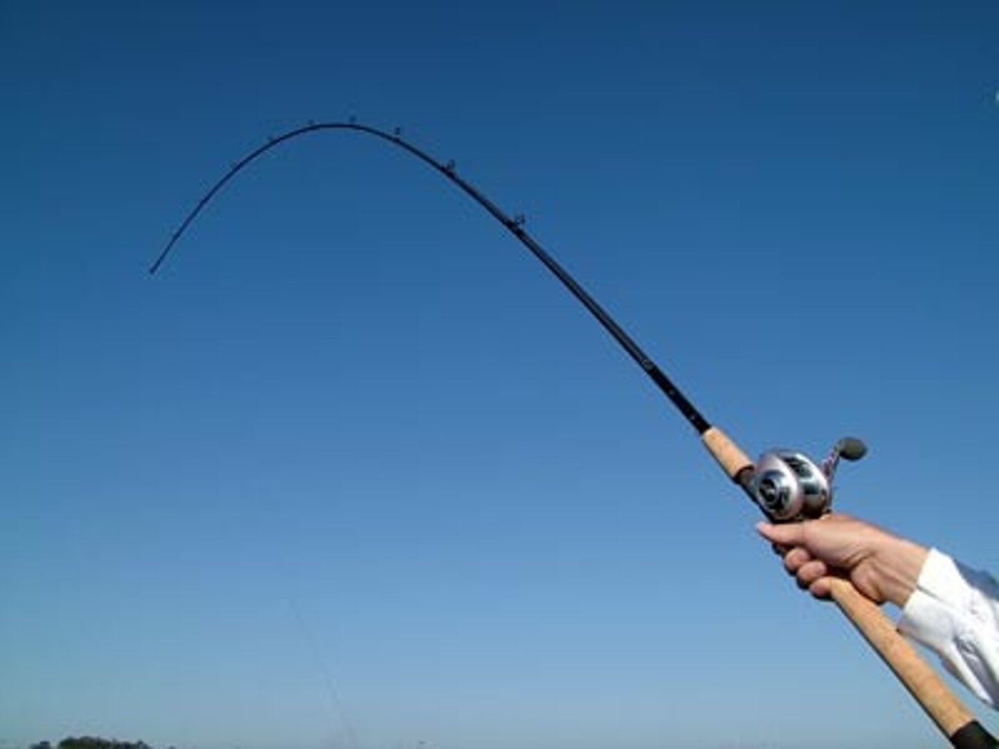 <p>To protect vulnerable/endangered species</p>