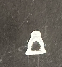 <p>What is this bone?</p>