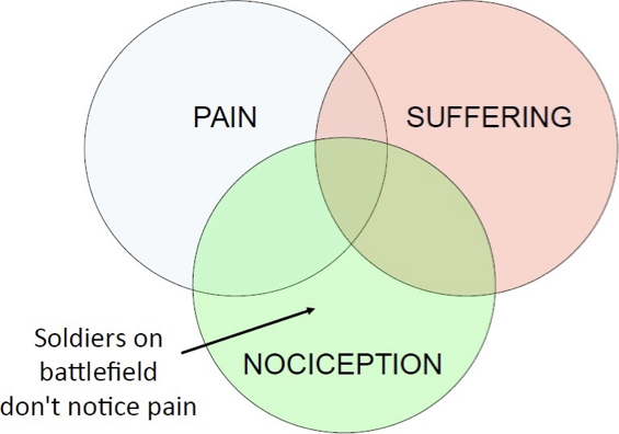 <p><span>Extreme stress can block pain</span></p>
