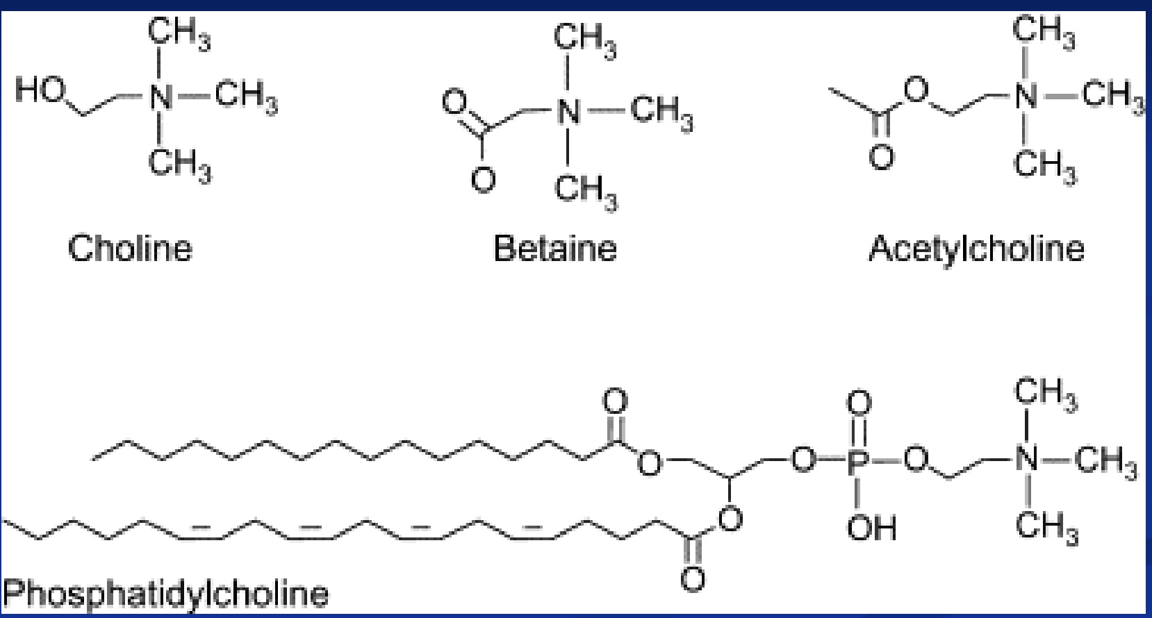 <p>-most recently added RDA (25 years ago)</p><p>-most common source= egg yolks</p><p><mark data-color="blue" style="background-color: blue; color: inherit;">-choline becomes acetylcholine (neurotransmitter) by adding an acetyl group to choline</mark></p><p>-<mark data-color="red" style="background-color: red; color: inherit;">Phosphatidylcholine</mark>= FA + FA + Phosphate + choline</p><ul><li><p>common in cell membranes (like a phospholipid); allows water and fat to interact (emulsification)</p></li><li><p>ex “Lecithin”: in chocolate/candy coating and palm oil (so don’t melt), and mustard (so salad dressing doesn’t separate)</p></li></ul><p>*side note: Ken’s pink chocolate bc fermented do dif pH</p>