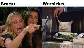<p>Textbook: Impairment of language, usually caused by left-hemisphere damage either to Broca’s area (impairing speaking) or to Wernicke’s area (impairing understanding).<br>Mine: Impairment of language of Broca’s area or Wernicke’s area</p><p>Retrieval Cues:</p>