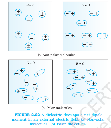 <ol><li><p>Polar Molecule</p><ul><li><p>+ve and -ve charge centre don’t coincide</p></li><li><p>permanent dipole movement</p></li><li><p>H₂O, HCl</p></li></ul></li><li><p>Non-Polar Molecule</p><ul><li><p>+ve and -ve charge centre coincides</p></li><li><p>induced dipole moment</p></li><li><p>H₂, CO₂</p></li></ul></li></ol><p></p><p><em>image: E=0: No external field applied, E </em><span>≠0: External field is applied</span></p>