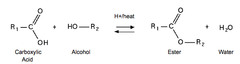 <p>Formation of esters from carboxylic acids and alcohols.</p>