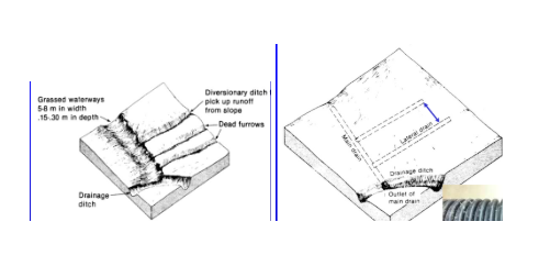 <ol><li><p>main drain and little drains remove water from grounds top layer</p></li><li><p>pipes that are slightly more underground, but it is still the same layout as surface drains. big pipes for downhill since water is moving slower. Clay vs plastic? generally plastic is cheaper and easier to work with. </p><ol><li><p>using GPS</p></li><li><p>tile drainage removes water after field capacity is reached. it lowers the water table because less pores are saturated because less water is present</p></li><li><p>in undrained plant, roots dont grow deep bc they suffucote and saturated soil, so when the water dries up they cant acess groundwater. </p></li></ol></li></ol><p></p>