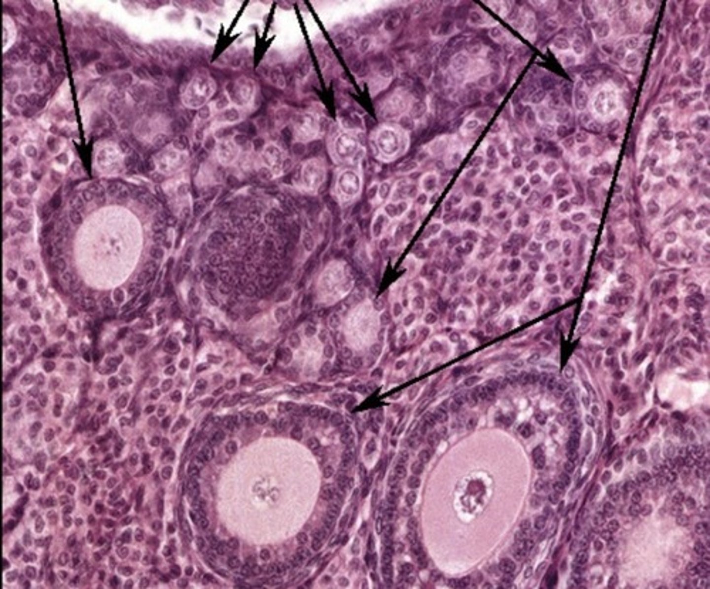 <p>What is shown?</p>