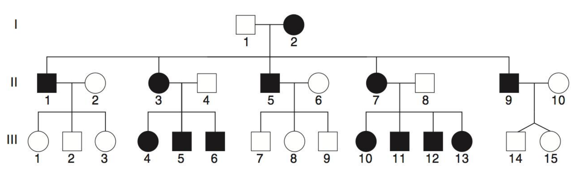<p>Xác định kiểu di truyền trong cây phả hệ sau:</p>