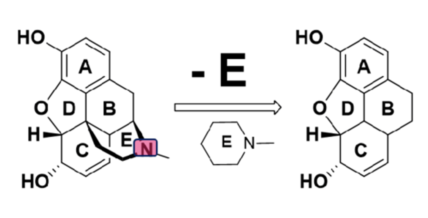 <p>- ring E, particularly the basic N, is crucial for activity</p><p>- removing E results in complete loss of activity </p>