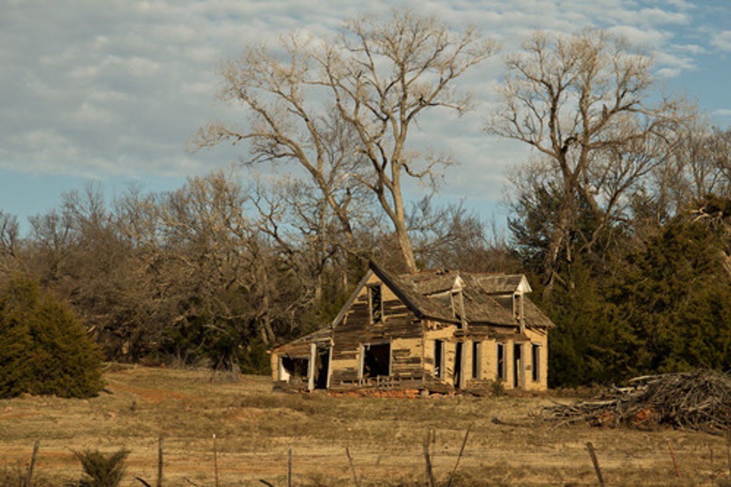 <p>tình trạng bỏ hoang</p>
