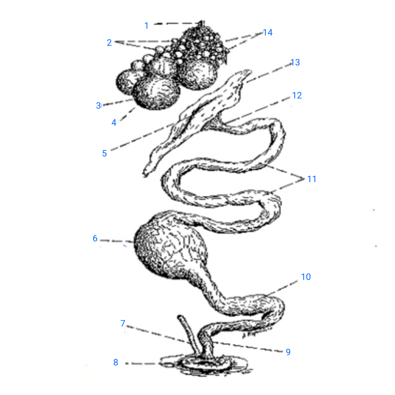 <p>4</p>