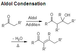<p>a β-hydroxyl carbonyl</p>