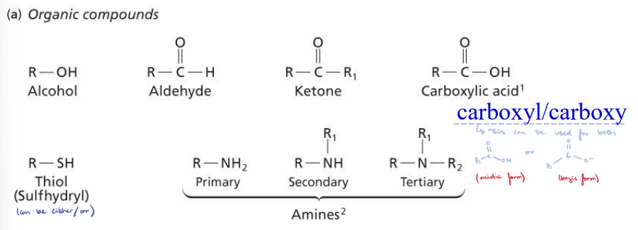 <ul><li><p>A carbonyl group is simply C=O. </p></li><li><p>Memorize!</p></li></ul><p></p>