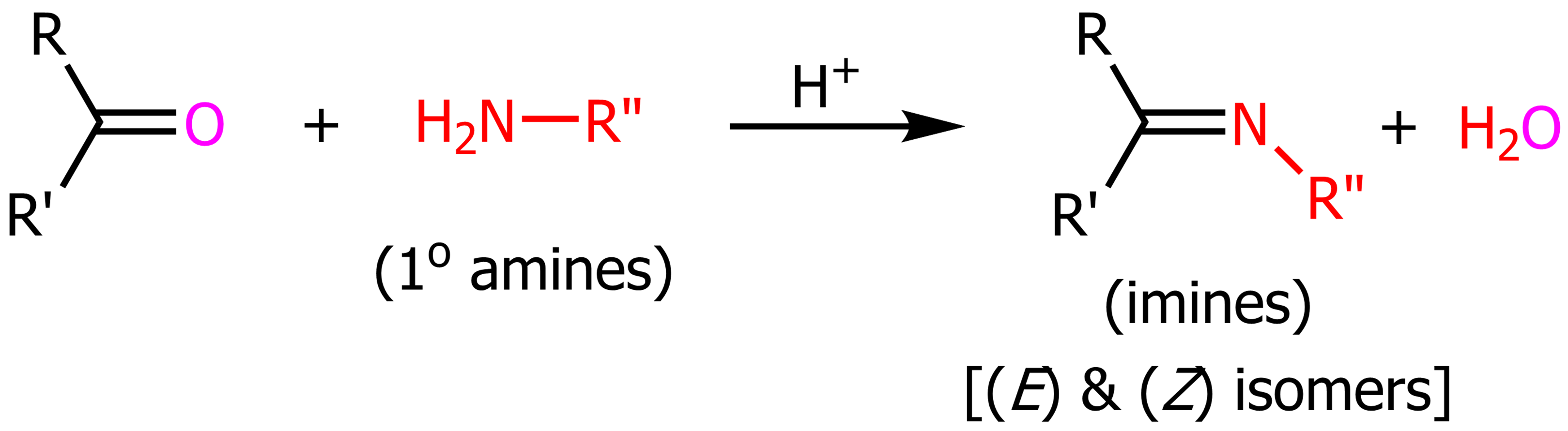 <p>When primary amines are in the presence of a ketone/aldehyde with strong acid, it will form an imine and water. Almost identical to enamine formation. </p>