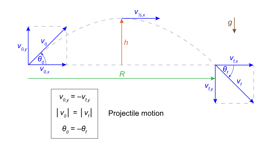 <p>vertical acceleration is given by gravity = 9.8 m/s²</p><p>for horizontal motion, acceleration is a constant zero</p><p>for a projectile with vertical velocity (v<sub>o</sub>) at an angle theta, the initial vertical velocity (v<sub>o,y</sub>) is equal to v<sub>o</sub>sin(theta)</p><p>the horizontal velocity (v<sub>x</sub>) remains v<sub>o</sub>cos(theta)</p>