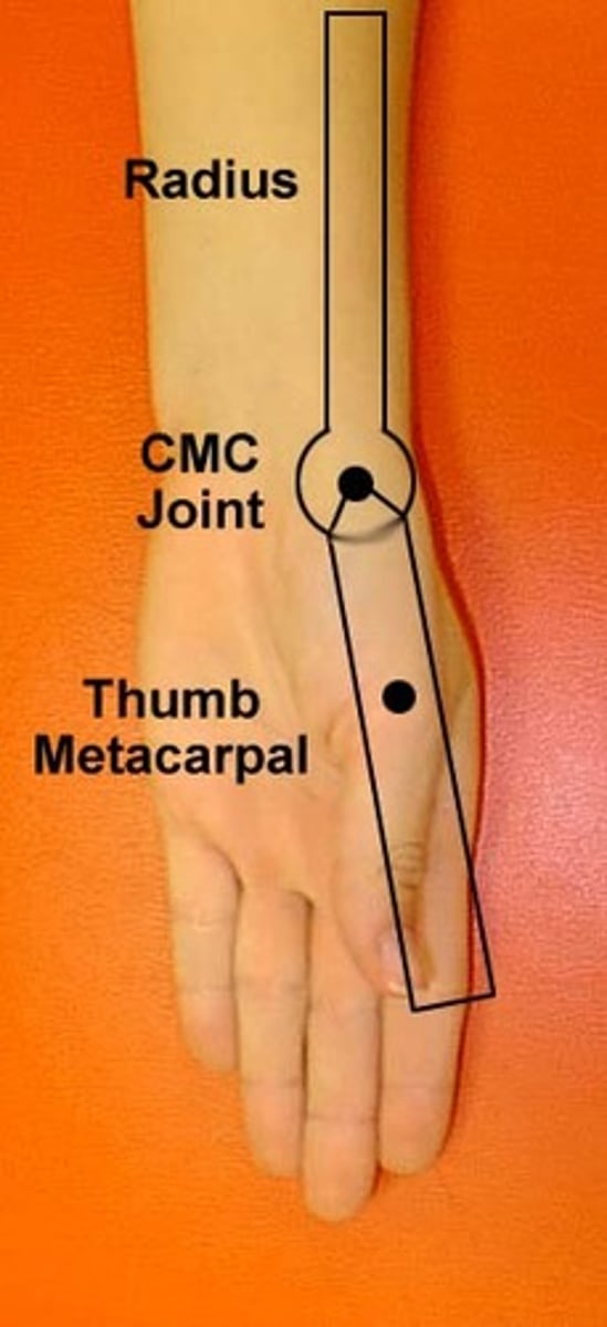 <p>fulcrum: palmar surface of 1st CMC joint/scaphoid<br>proximal: ventral midline of radius (radial styloid process for reference)<br>distal: ventral midline of 1st MC<br><br>* hand resting on table with palm facing up = SUPINATED<br>* STARTING WONT BE AT ZERO</p>