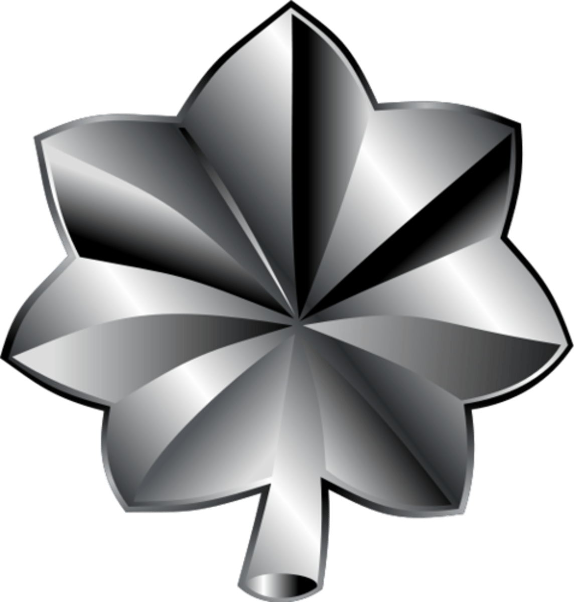 <p>Lieutenant Colonel</p>