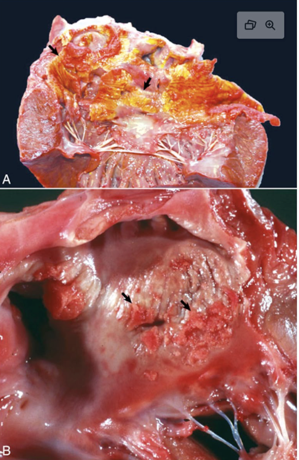 <p>What is this showing?</p>