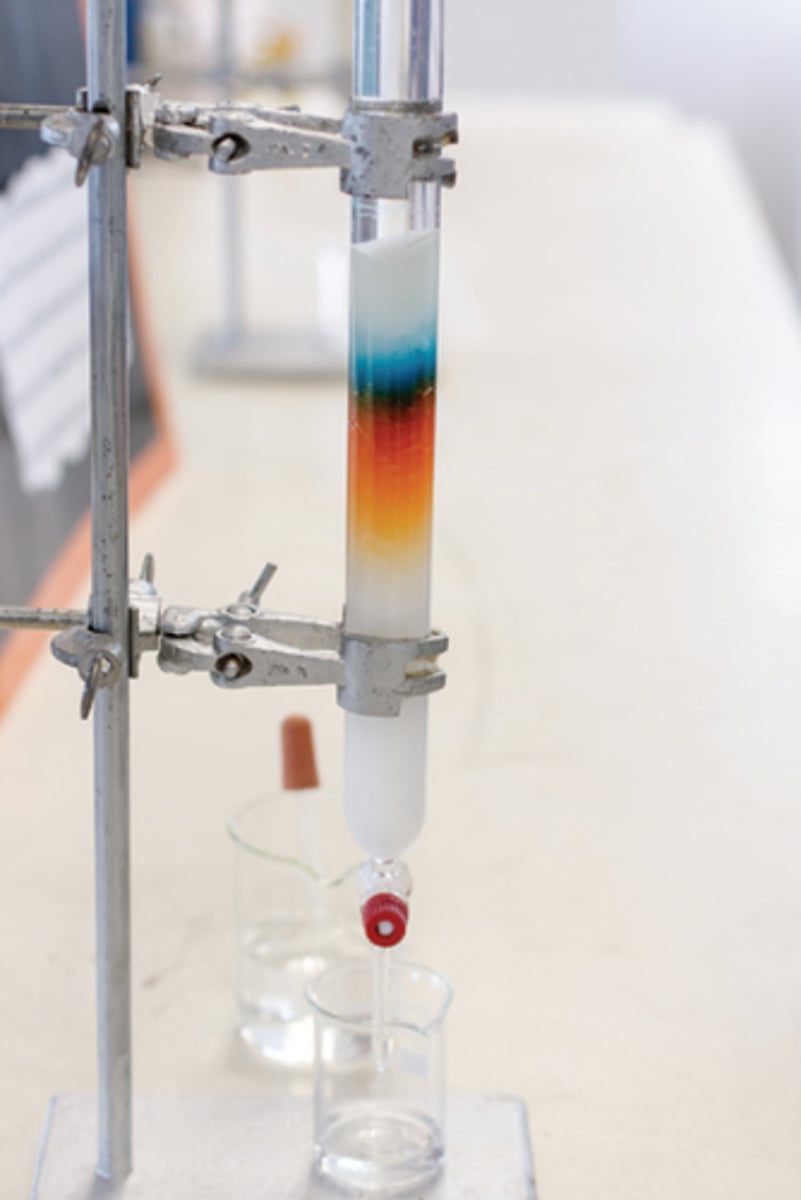 <p>a technique used to separate and purify individual components from mixtures of compounds</p>