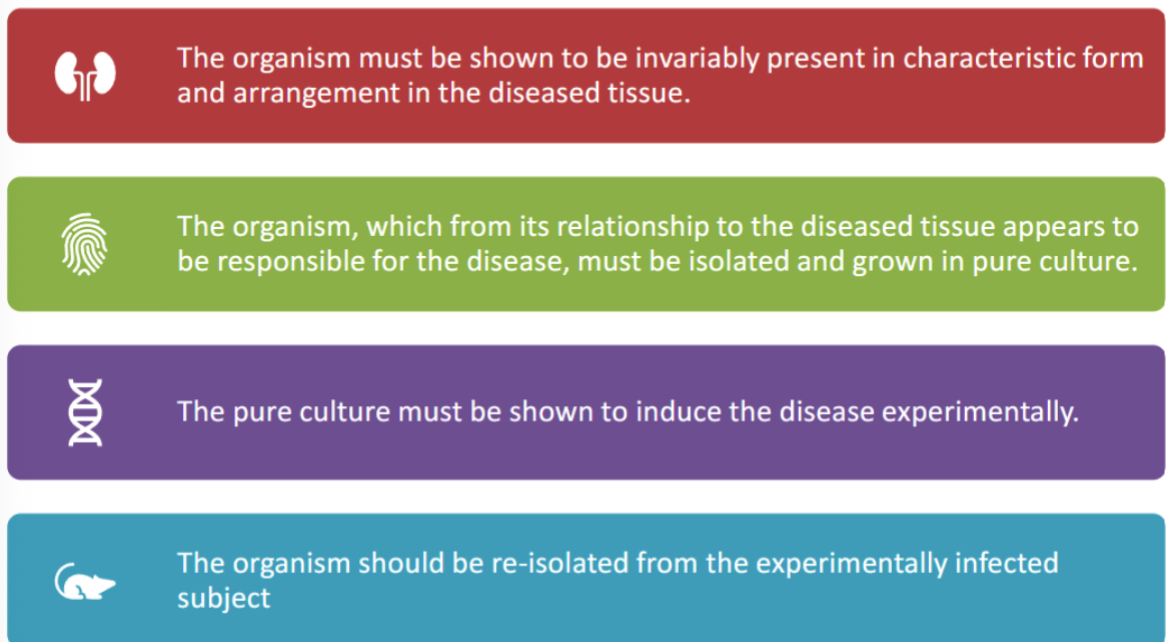 <p>Association between a microorganism and disease</p>