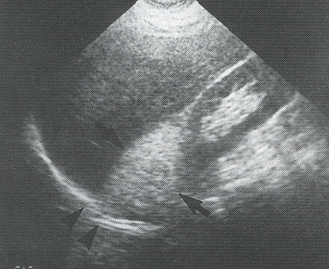 <p>What is this image showing?</p>