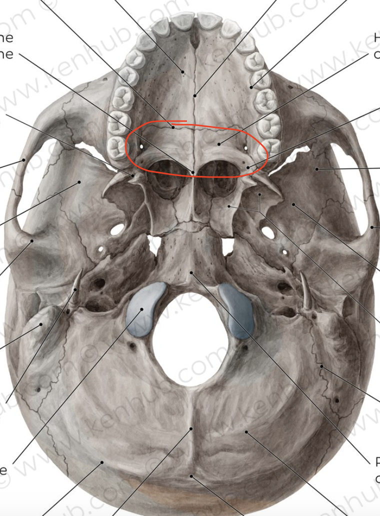 <p>what is this structure?</p>