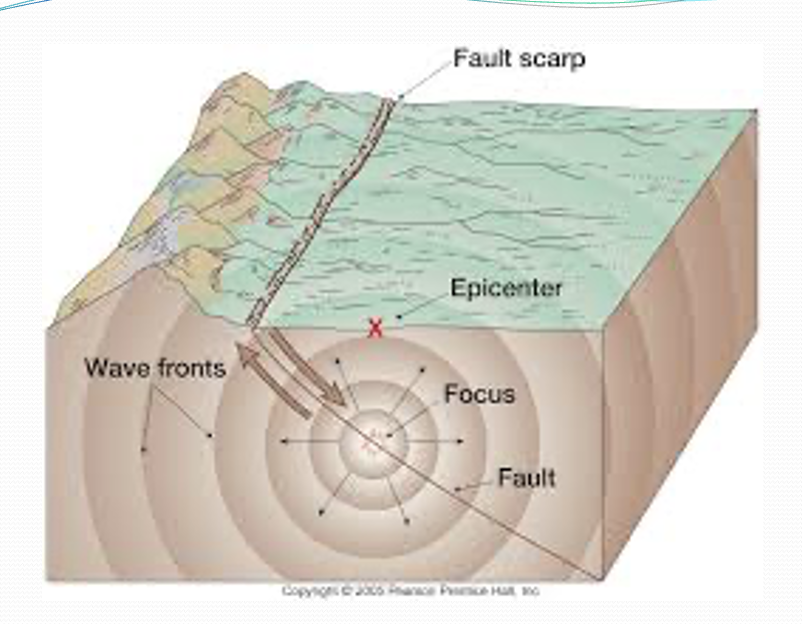 <p>-Fault line/scarp</p><p>-Focus: point of origin or main source</p><p>-Epicenter: point directly above the focus which lies on the surface of the earth</p>