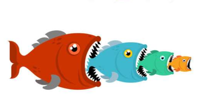 <p>All other organisms- herbivore, omnivores, carnivores, and detritivores like<strong> worms and carbs. </strong></p>