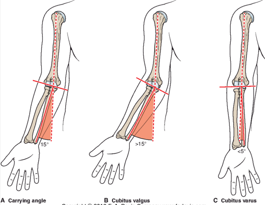 <p>In eval, observation of the elbow must look out for posture &amp; carrying angle. What are the normal ranges &amp; what to look out for?</p>